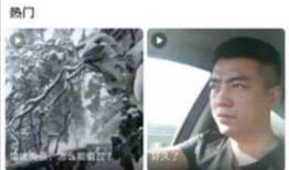 蘑菇爆料的视频大全集,视频大全集精彩瞬间回顾